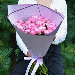 25 розовых пионов в упаковке (Голландия)