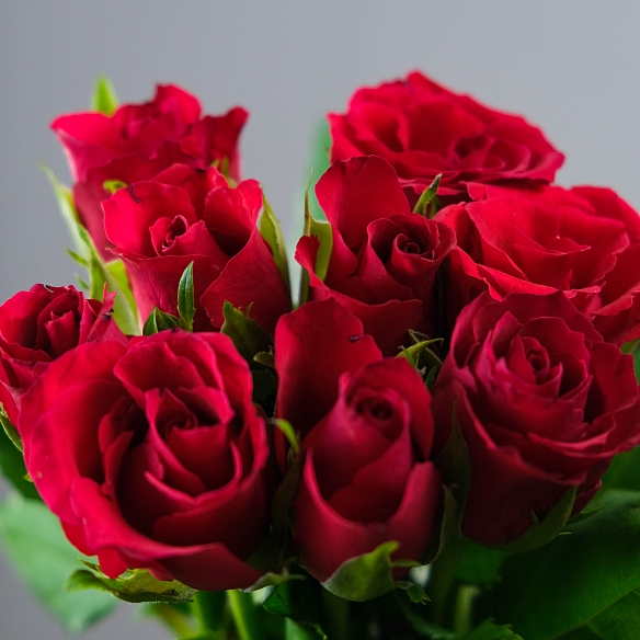 9 красных роз под ленту