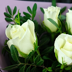 5 белых роз с фисташкой