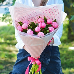 11 розовых пионов в упаковке (Голландия)