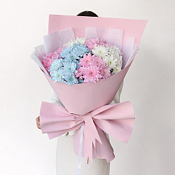 7 кустовых хризантем микс в упаковке