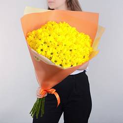 15 желтых кустовых хризантем в упаковке