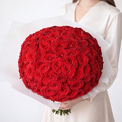 101 красная роза 40см в упаковке (Россия)