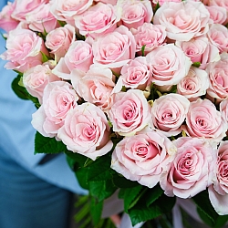 101 бело-розовая роза 35-40см (Кения)