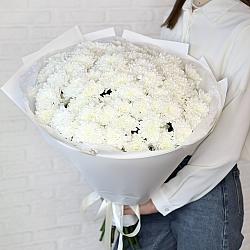 25 белых кустовых хризантем в упаковке