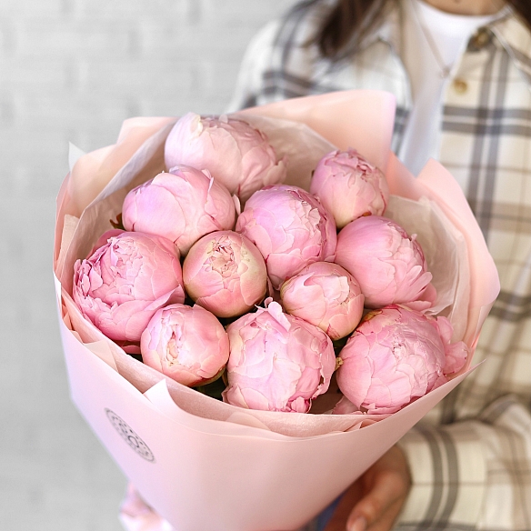 11 нежно-розовых пионов в упаковке (Голландия)