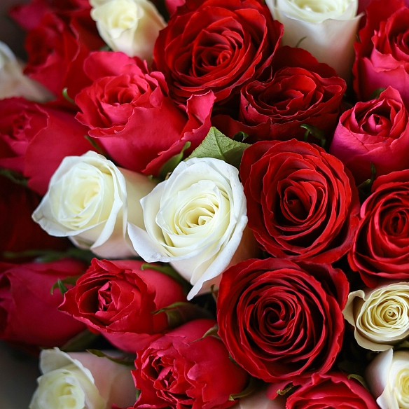 35 роз яркий микс 35-40см в упаковке (Кения)