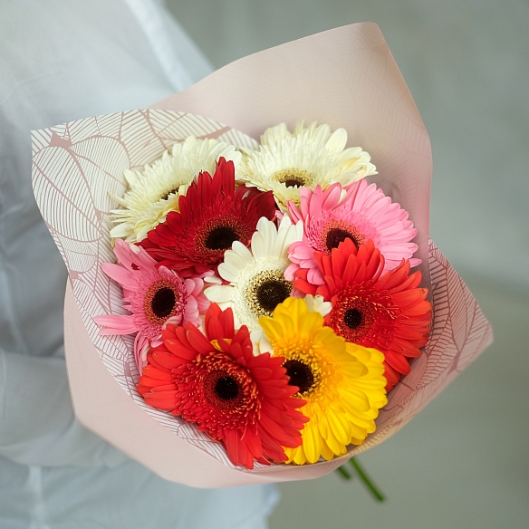 9 гербер в упаковке