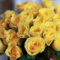 25 желтых роз 35-40см (Россия)