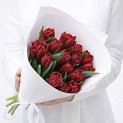 15 красных пионовидных тюльпанов в упаковке (Россия)