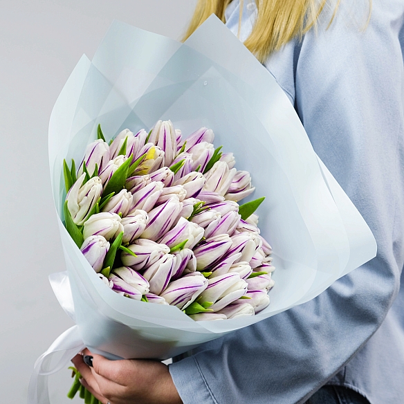 51 бело-фиолетовый тюльпан в упаковке