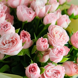 9 кустовых роз Мадам Бомбастик (Голландия)