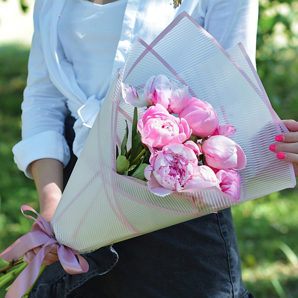 7 розовых пионов Сара Бернар в упаковке (Голландия)