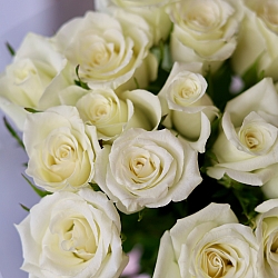 15 белых роз в пленке