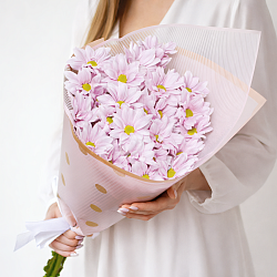 5 розовых кустовых хризантем в упаковке