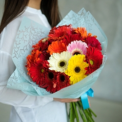 25 гербер в упаковке