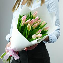 15 розовых тюльпанов в упаковке