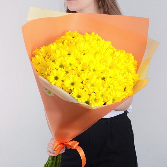 15 желтых кустовых хризантем в упаковке