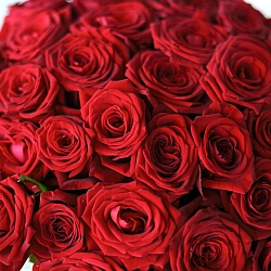 35 красных роз 40см в упаковке (Россия)