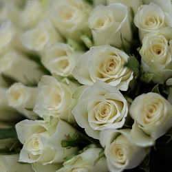 51 белая роза 35-40см (Кения)