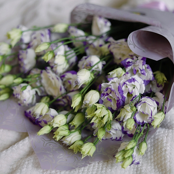 9 бело-фиолетовых эустом в упаковке