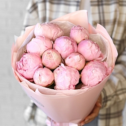 11 нежно-розовых пионов в упаковке (Голландия)