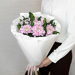 7 розовых одноголовых хризантем в упаковке