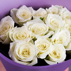 15 белых роз 35-40см в упаковке (Кения)