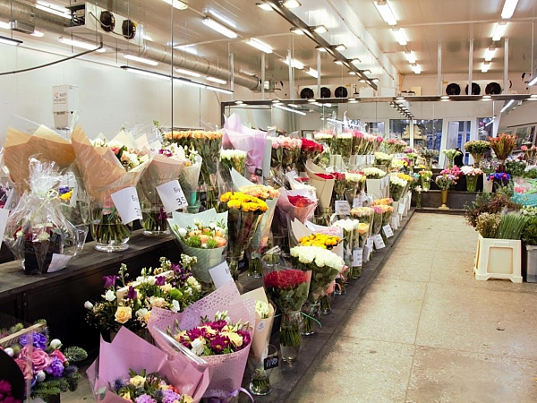 Магазин Цветофор в Верхнем переулке - фото 2