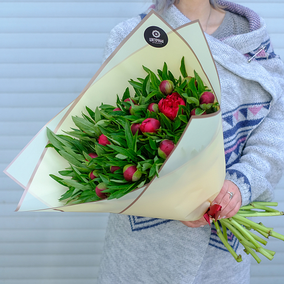 25 бордовых пионов в упаковке (Россия)