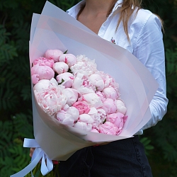 25 розовых пионов Сара Бернар (Голландия)