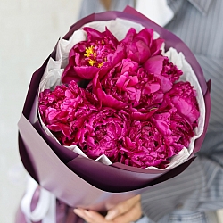 9 бордовых пионов в упаковке (Россия)