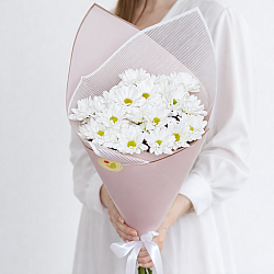 5 белых кустовых хризантем в упаковке