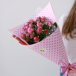 5 кустовых роз Леди Бомбастик в упаковке (Голландия)