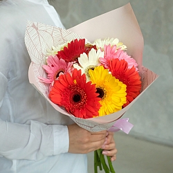 9 гербер в упаковке