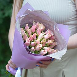 25 бело-розовых роз 35-40см в упаковке (Кения)