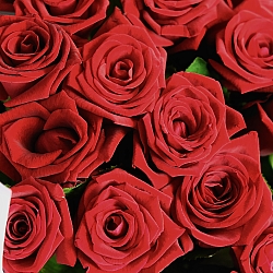 35 красных роз 35-40см в упаковке (Россия)