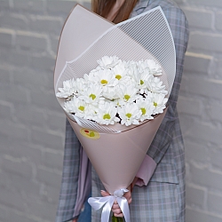 5 белых кустовых хризантем в упаковке