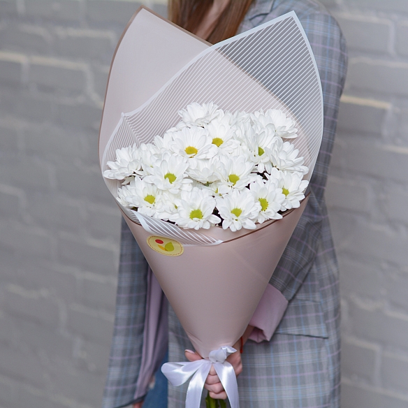 5 белых кустовых хризантем в упаковке