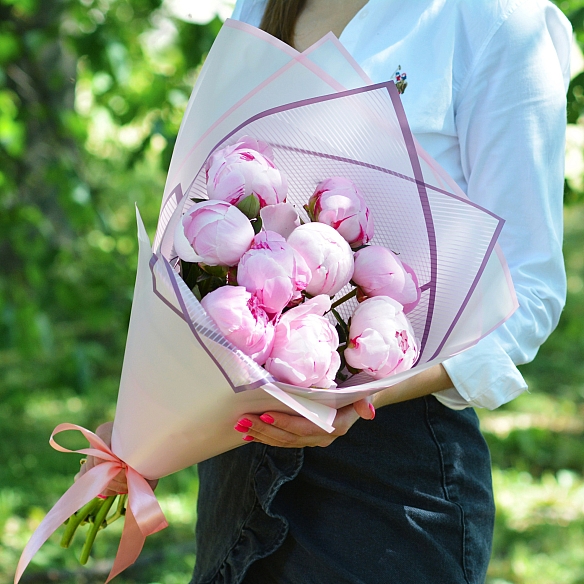 9 розовых пионов Сара Бернар в упаковке (Голландия)