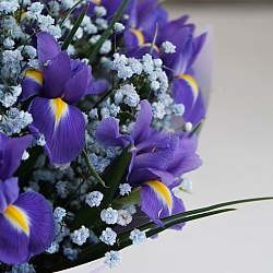 Букет «Blue ocean» mini