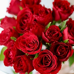 15 красных роз в пленке