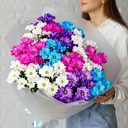 15 кустовых хризантем микс в упаковке