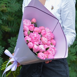 25 розовых пионов в упаковке (Голландия)