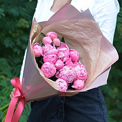 15 розовых пионов в упаковке (Голландия)