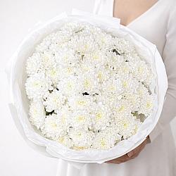 15 белых кустовых хризантем в упаковке