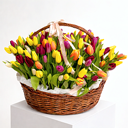 151 тюльпан в корзине