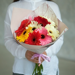 9 гербер в упаковке