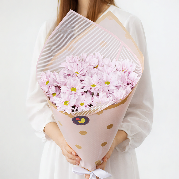 5 розовых кустовых хризантем в упаковке