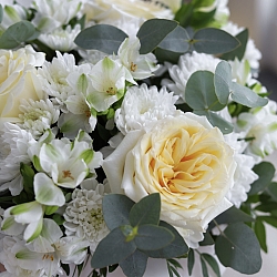 Композиция «Эмили»